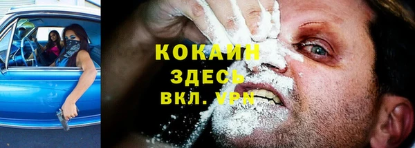 дживик Абинск